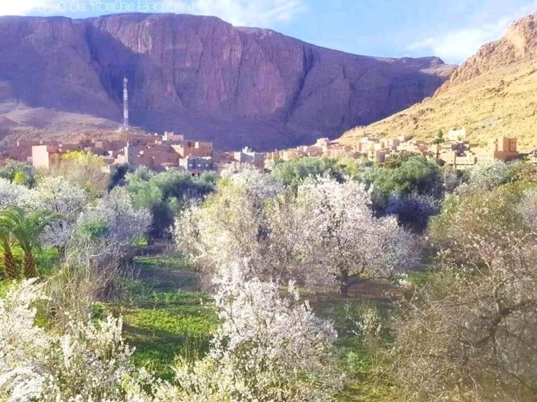 Dar Almanadir Todra Hostel Aït Baha Kültér fotó