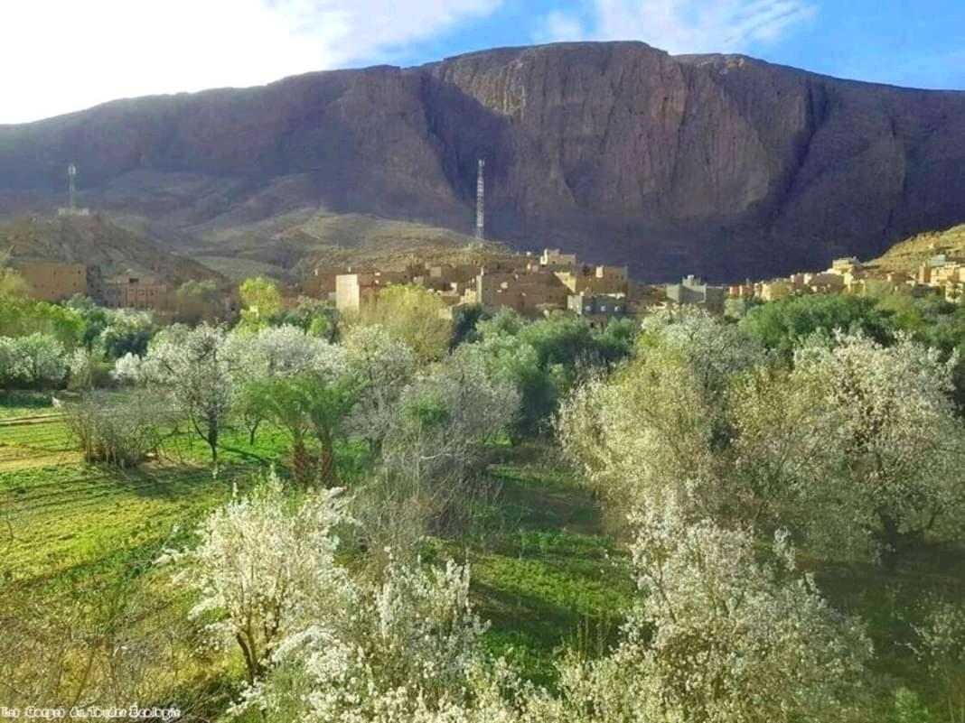 Dar Almanadir Todra Hostel Aït Baha Kültér fotó