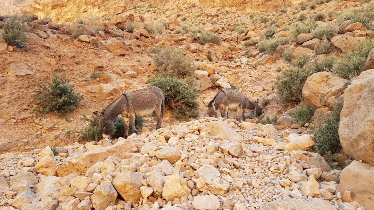 Dar Almanadir Todra Hostel Aït Baha Kültér fotó